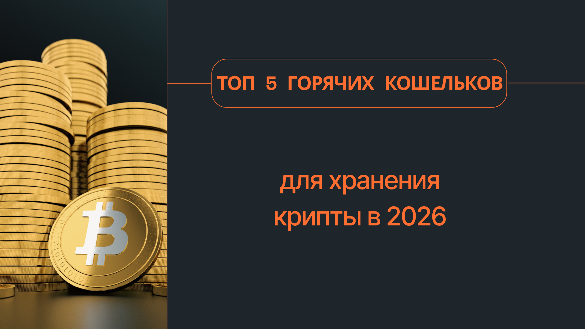 Топ 5 горячих кошельков для хранения крипты в 2026