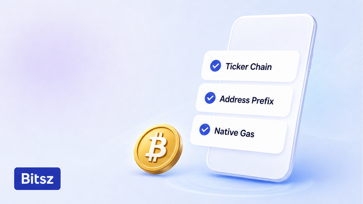 Чеклист Bitsz на телефоне: Ticker Chain, Address Prefix, Native Gas на светлом баннере