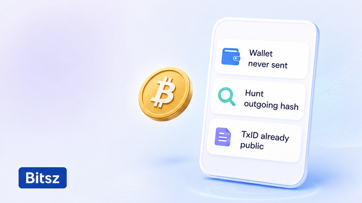 Три чипа на экране Bitsz: кошелёк не слал, ищем хеш, TxID уже в сети