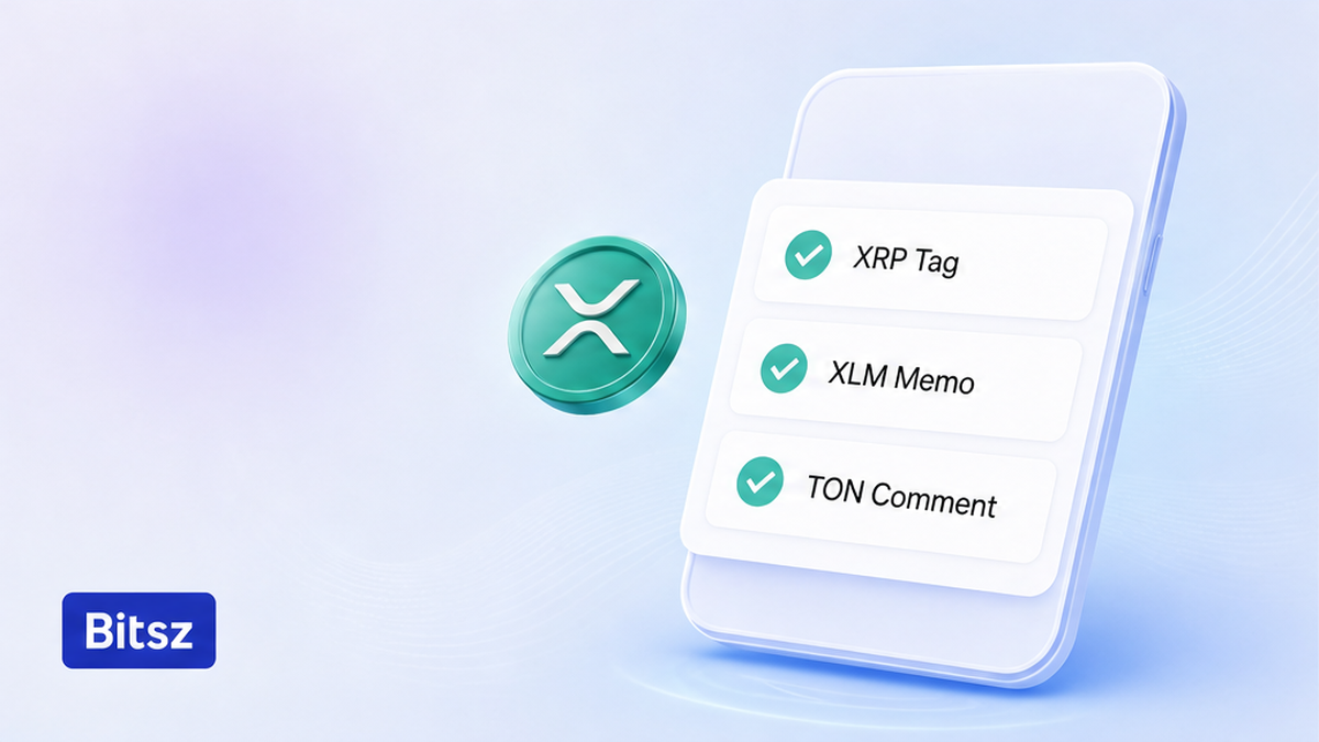 Чеклист на телефоне Bitsz: XRP Tag, XLM Memo, TON Comment