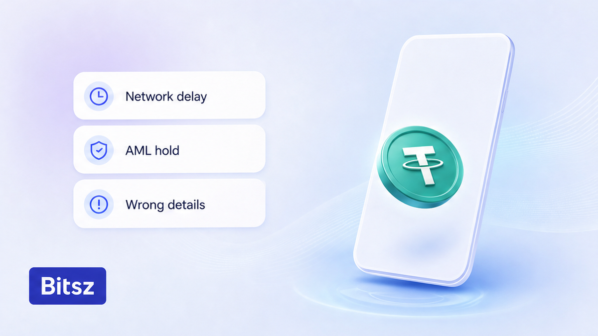 Чеклист на телефоне Bitsz: Network delay, AML hold, Wrong details