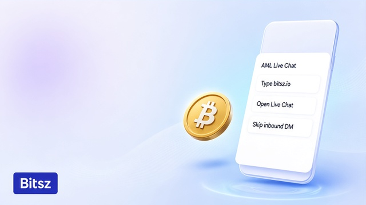 Три чипа Bitsz: набрать bitsz.io, открыть Live Chat, не идти в DM