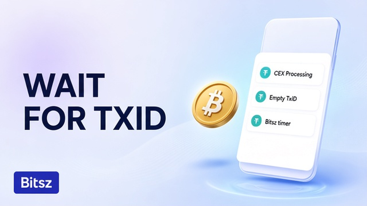 How to Check a CEX Withdrawal Delay Before a Swap (No TxID Checklist)