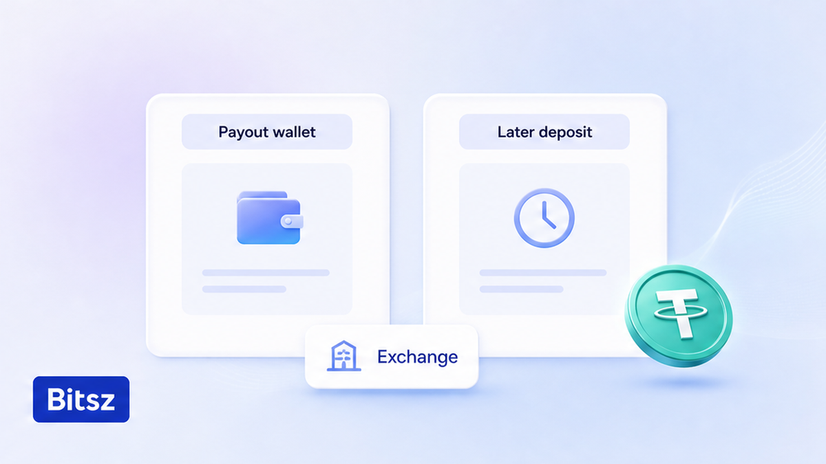Две колонки Bitsz: payout wallet против одноразового депозита до Exchange