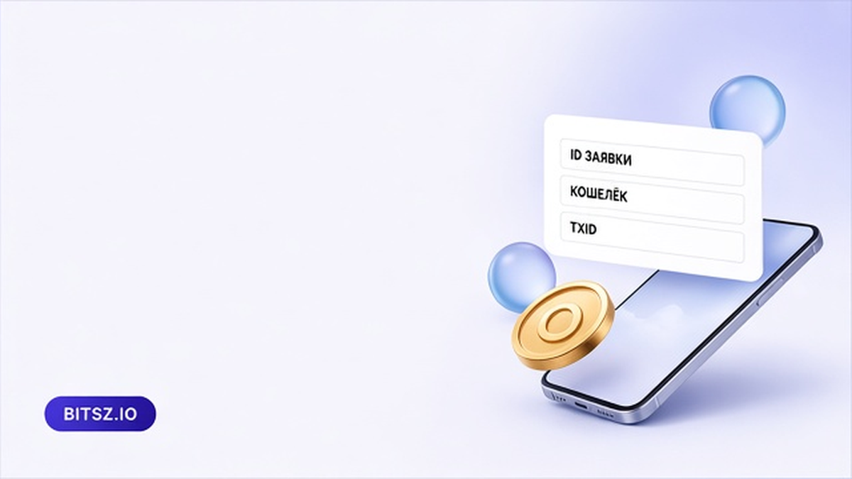Баннер Bitsz: карточка заявки на телефоне с чипами ID, кошелёк и TxID