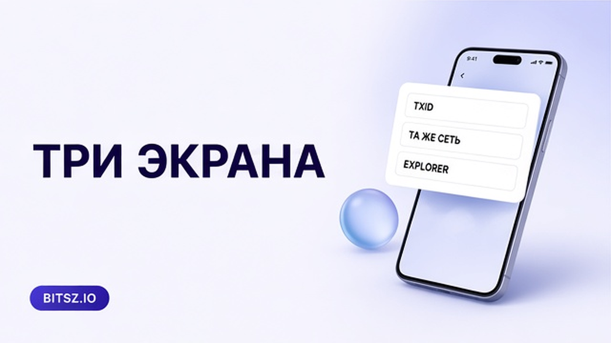 Баннер Bitsz: три шага на телефоне TxID, та же сеть, обозреватель