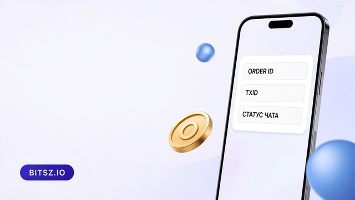 Баннер Bitsz: чеклист на телефоне, Order ID, полный TxID и статус из официального чата