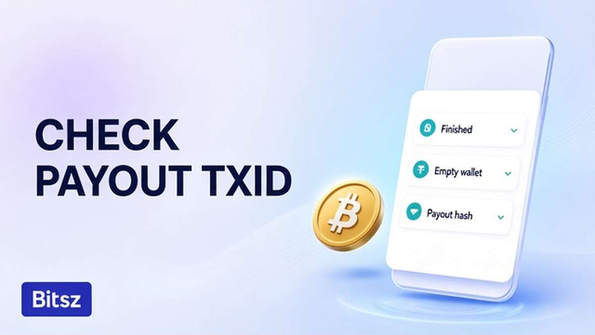 How to Check a Swap Payout TxID After the Order Shows Finished (Explorer Checklist)
