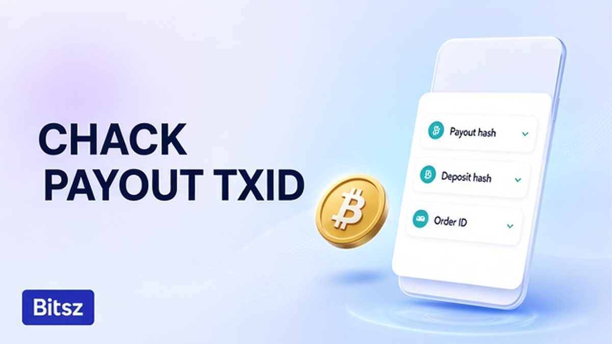 Три чипа Bitsz: payout hash, deposit hash и Order ID