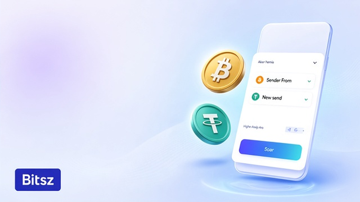 Две колонки Bitsz: исходный sender From против payout-кошелька You receive