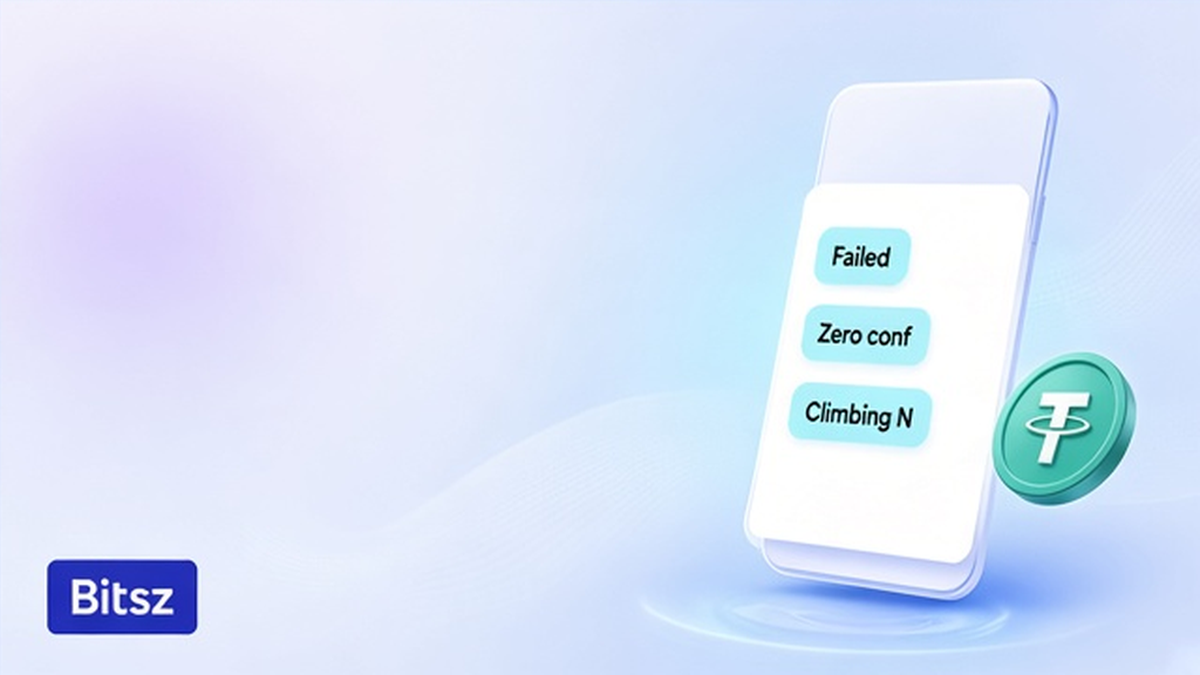 Чеклист Bitsz: Failed, 0 confirmations и растущий N; Success в explorer ещё не credited